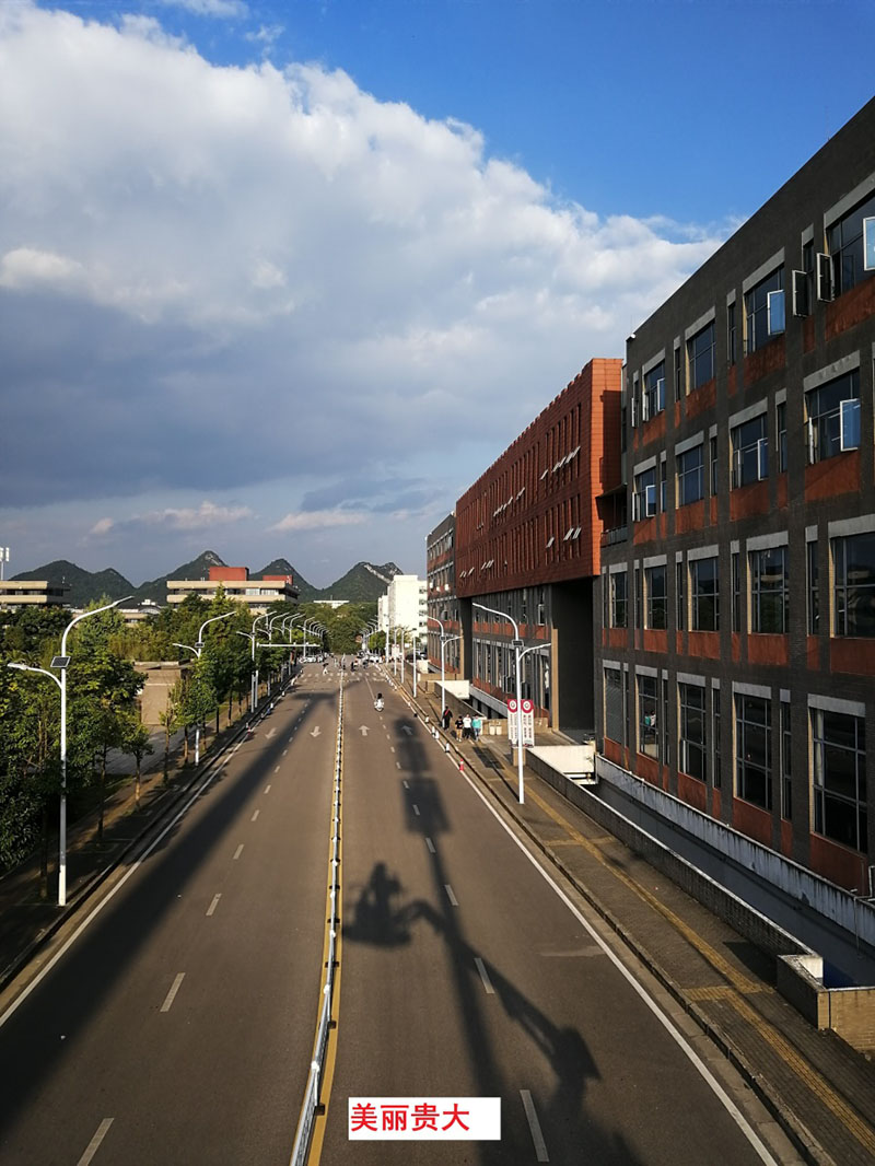 貴州某高校為本校區(qū)內(nèi)600多盞路燈更換LED燈頭及加裝太陽能LORA調(diào)光控制模塊，達到了節(jié)能和智能控制的目的。(圖1)